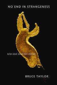 Produktbild: No End in Strangeness