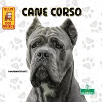 Produktbild: Cane Corso