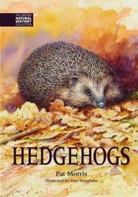 Produktbild: Hedgehogs