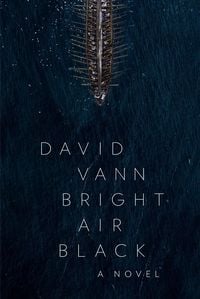 Bild vom Artikel Bright Air Black vom Autor David Vann