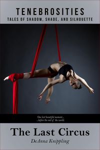 Produktbild: The Last Circus