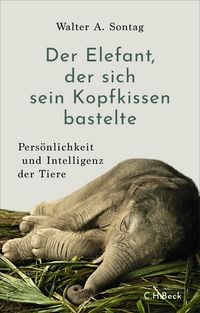 Produktbild: Der Elefant, der sich sein Kopfkissen bastelte