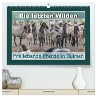 Produktbild: Die letzten Wilden - freilebende Pferde in D&uuml;lmen (hochwertiger Premium Wandkalender 2027 DIN A2 quer), Kunstdruck in Hochglanz