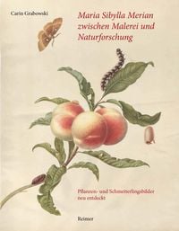 Produktbild: Maria Sibylla Merian zwischen Malerei und Naturforschung