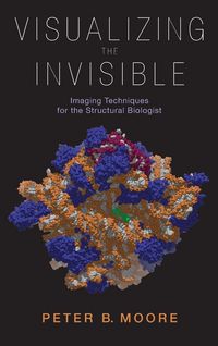 Produktbild: Visualizing the Invisible