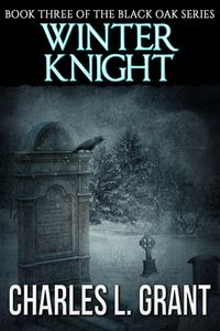 Produktbild: Black Oak 3: Winter Knight