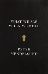 Produktbild: What We See When We Read