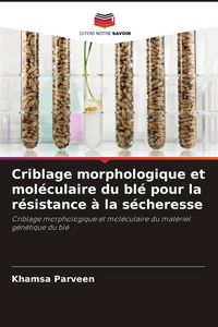 Produktbild: Criblage morphologique et mol&eacute;culaire du bl&eacute; pour la r&eacute;sistance &agrave; la s&eacute;cheresse