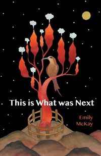 Produktbild: This is What was Next