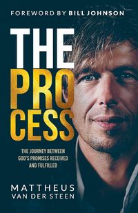 Produktbild: The Process
