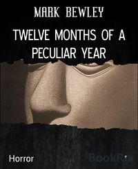Produktbild: Twelve Months Of a Peculiar Year