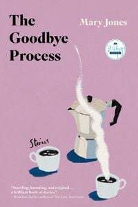 Produktbild: The Goodbye Process