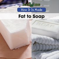 Produktbild: Fat to Soap