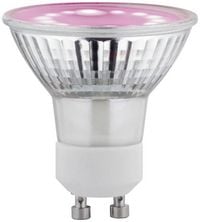 Produktbild: Paulmann LED-Pflanzenlampe Wachstum 230V GU10 3.5W Bernstein 1St.