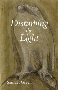 Produktbild: Disturbing the Light