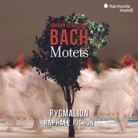 Produktbild: Johann Sebastian Bach: Motets