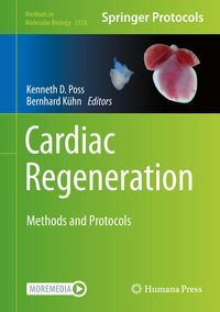 Produktbild: Cardiac Regeneration