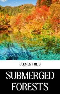 Produktbild: Submerged Forests