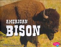 Produktbild: Amer Bison