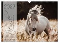 Produktbild: Spiegel deiner Seele (Wandkalender 2027 DIN A3 quer), CALVENDO Monatskalender