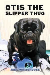 Produktbild: Otis the Slipper Thug