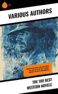 Produktbild: The 100 Best Western Novels