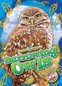 Produktbild: Burrowing Owls