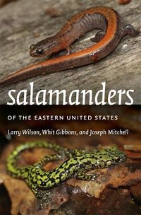 Produktbild: Salamanders of the Eastern United States
