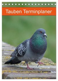 Produktbild: Tauben Terminplaner (Tischkalender 2026 DIN A5 hoch), CALVENDO Monatskalender