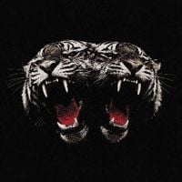 Produktbild: Dead Company