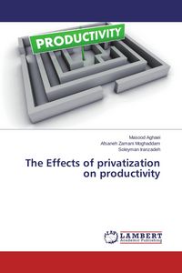 Produktbild: The Effects of privatization on productivity