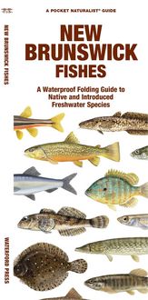 Produktbild: New Brunswick Fishes