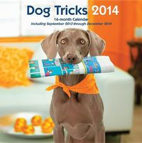 Produktbild: Cal 2014-Dog Tricks