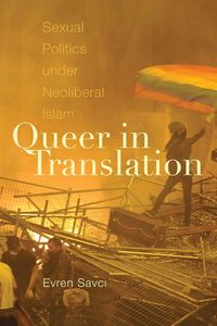 Produktbild: Queer in Translation