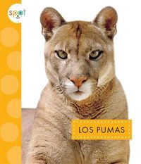 Produktbild: Los Pumas