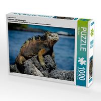 Produktbild: CALVENDO Puzzle Ein Motiv aus dem Kalender Leguane auf Galapagos | 1000 Teile Lege-Gr&ouml;&szlig;e 64x48cm Foto-Puzzle f&uuml;r gl&uuml;ckliche Stunden