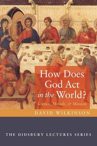 Produktbild: How Does God Act in the World?