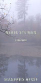 Produktbild: Nebel Steigen