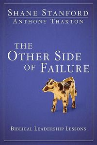 Produktbild: Other Side Of Failure
