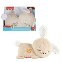 Produktbild: Fisher-Price Schlummer-H&auml;schen