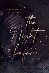 Produktbild: The Night before