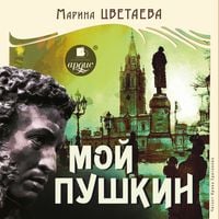 Produktbild: Moj Pushkin