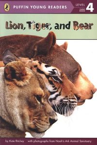 Produktbild: Lion, Tiger, and Bear