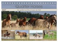 Produktbild: Quarter Horses - Die gr&ouml;&szlig;te Zuchtbuchrasse der Welt (Tischkalender 2027 DIN A5 quer), CALVENDO Monatskalender