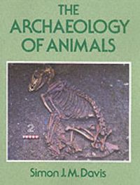 Produktbild: The Archaeology of Animals