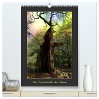 Produktbild: Das Seelenlicht der B&auml;ume (hochwertiger Premium Wandkalender 2026 DIN A2 hoch), Kunstdruck in Hochglanz