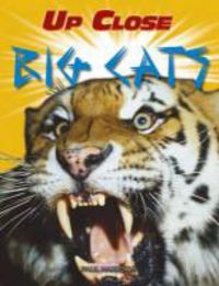 Produktbild: Big Cats