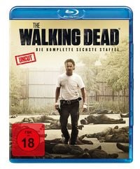 Bild vom Artikel The Walking Dead - Staffel 6 - Uncut  [6 BRs] vom Autor Andrew Lincoln