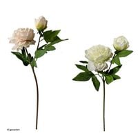 Produktbild: HTI-Living Pfingstrosen 2er Set Flora Wei&szlig;/Rosa Pfingstrosen 2er Set Flora Wei&szlig;/Rosa