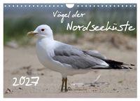 Produktbild: V&ouml;gel der Nordseek&uuml;ste (Wandkalender 2027 DIN A4 quer), CALVENDO Monatskalender